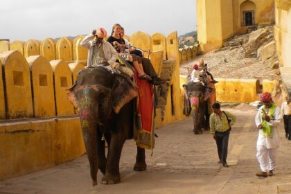 Head to Amber Fort to enjoy an elephant ride here to soak in the historical atmosphere