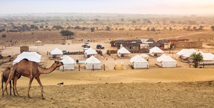 Camping in Pushkar features holy lakes, temples, and a blend of adventure and tranquillity.