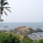 Goa is a beach paradise that is filled with lush greenery and also has plenty of adventurous things to do here