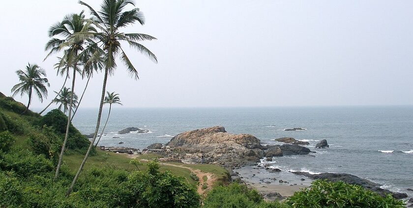 Goa is a beach paradise that is filled with lush greenery and also has plenty of adventurous things to do here