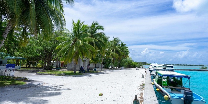 Crystal clear water waves crashing the golden shores with tall palm lining them, offering an ideal coastal sight