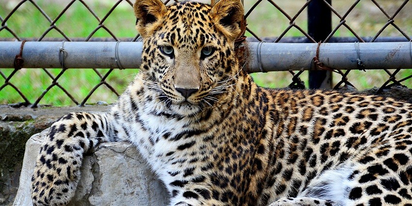 The board displays information at the Bannerghatta National Park Bangalore.