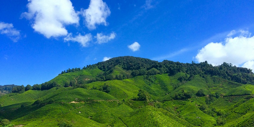 A captivating view of misty mountains and lush trees in Sirsi.