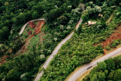 The location of Saputara Museum, surrounded by lush green forests and home to tribals.