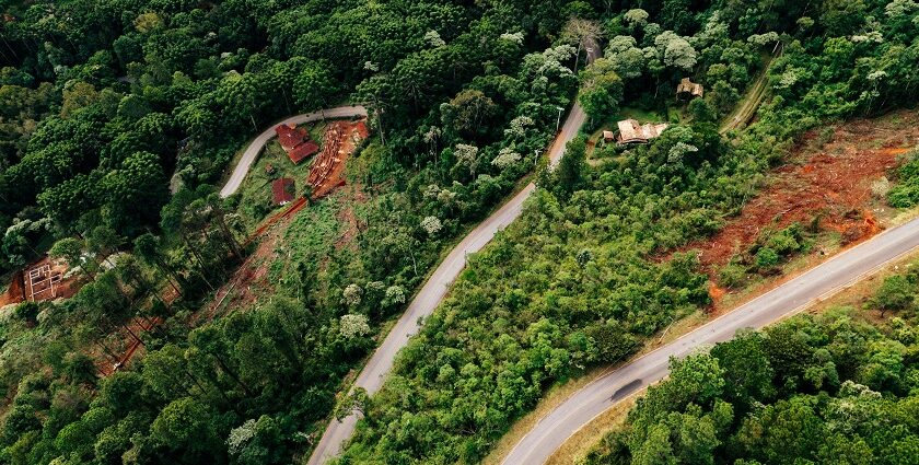 The location of Saputara Museum, surrounded by lush green forests and home to tribals.