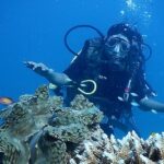 A diver in the deep blue waters surrounded by corals, enjoying scuba diving in north Goa.