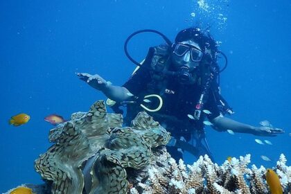 A diver in the deep blue waters surrounded by corals, enjoying scuba diving in north Goa.