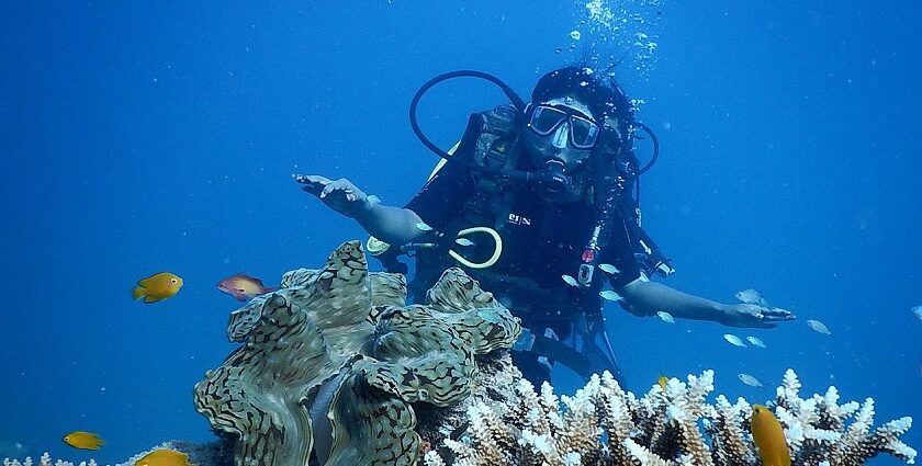 A diver in the deep blue waters surrounded by corals, enjoying scuba diving in north Goa.