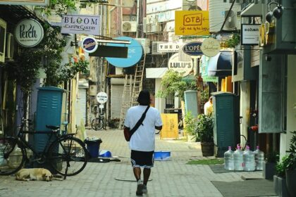 Person walking down a tree-lined sidewalk with dappled sunlight - street food in Khan Market