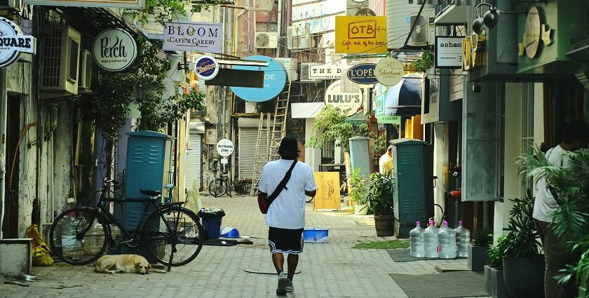 Person walking down a tree-lined sidewalk with dappled sunlight - street food in Khan Market