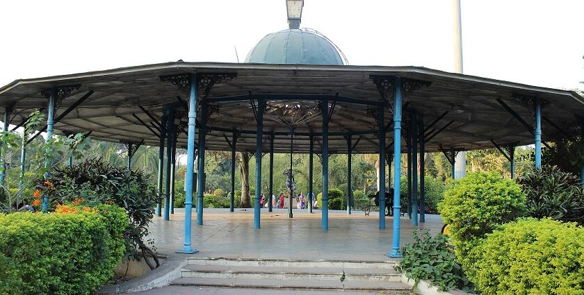 Sayaji baug is the most favourite spots for people in vadodara to organise picnics on their weekends