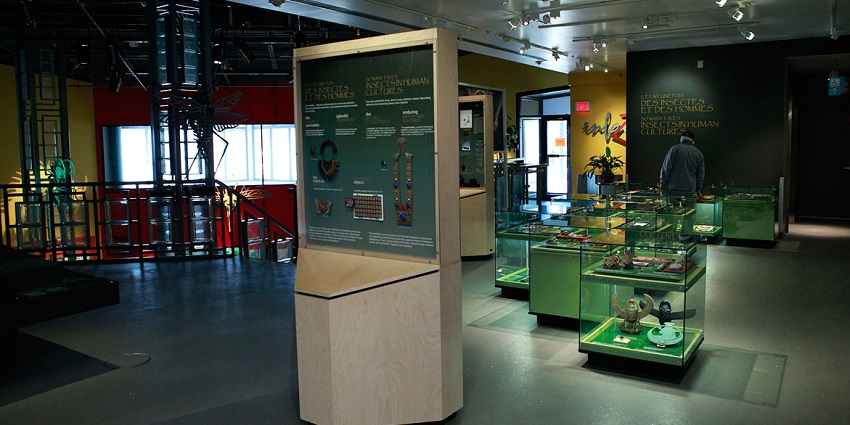 Watch 3D science shows and more at the science museum in Mumbai