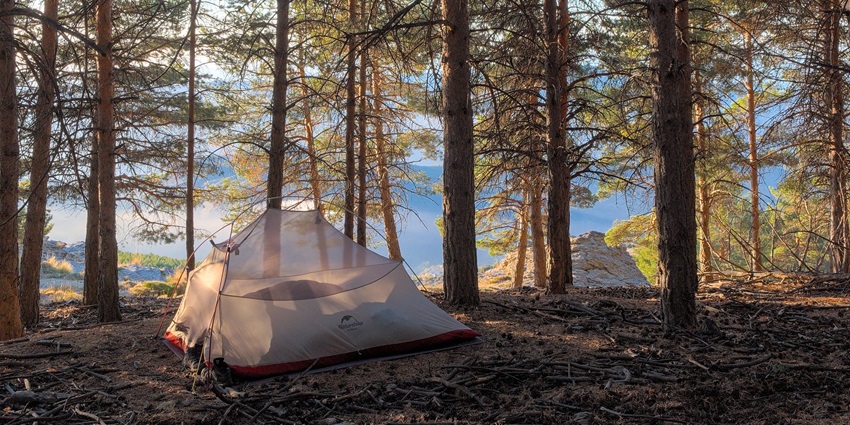 One white-coloured camp set up amidst the forest and dense trees in the background.