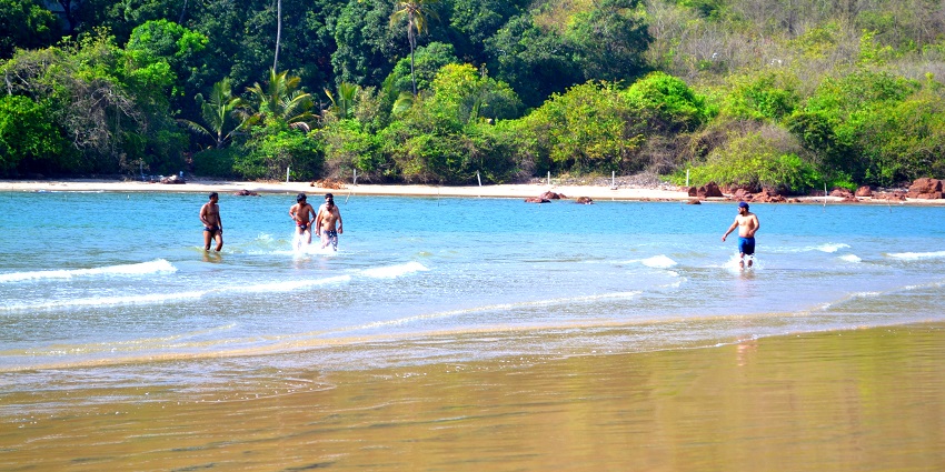 Blue waters and greenery at Aare Ware Beach, one of the secluded Ratnagiri Beaches.