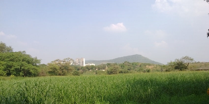 Aarey Colony is a green Mumbai known for tree plantations, wildlife, and eco-friendly spots.