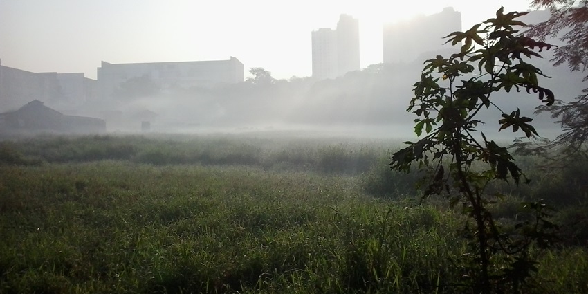 High-rises visible from Aarey Milk Colony, a popular place near Jogeshwari Caves