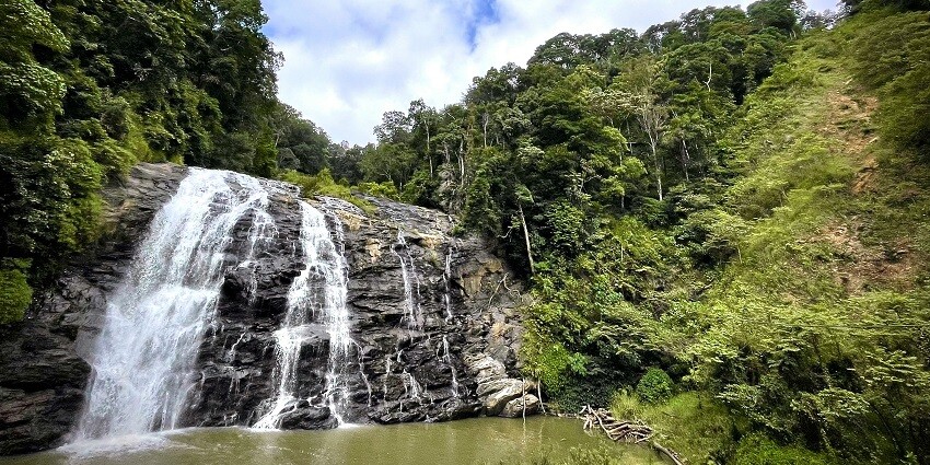 Abbey Falls, a stunning waterfall flowing through a forest with rocks during the day.