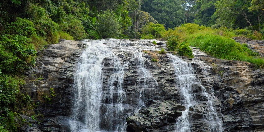 A serene view of Abbey Falls, one of the popular places to visit in Coorg, Karnataka.