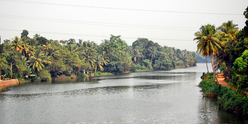 A lush green picture of Achankovil River, one of the peaceful spots.