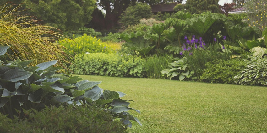 Aditi Garden, decked with greenery, is among the most serene places to visit near Kharadi.