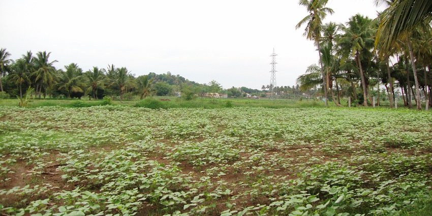 A picture of Adivaram that is a serene place for meditation and reflection.