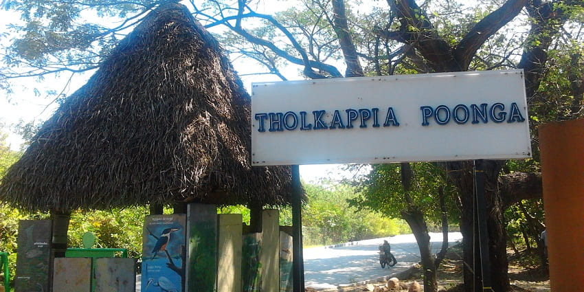 Eco-friendly park featuring walking paths and natural habitats.