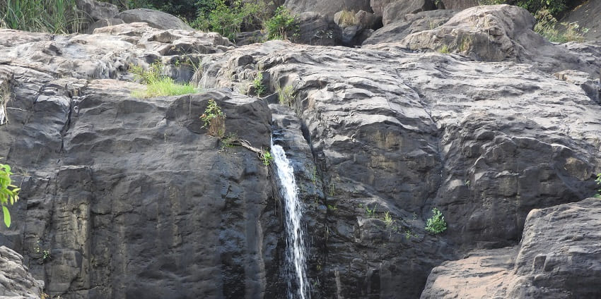 Agasthiyar Falls cascading amidst thick forests near Manimuthar.
