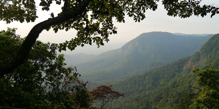 Enjoy a peaceful retreat in the misty hills of Agumbe, Karnataka, known for its high rainfall.