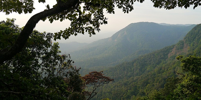 An image of Rainforest village, the serene retreat with waterfalls, treks, and biodiversity.