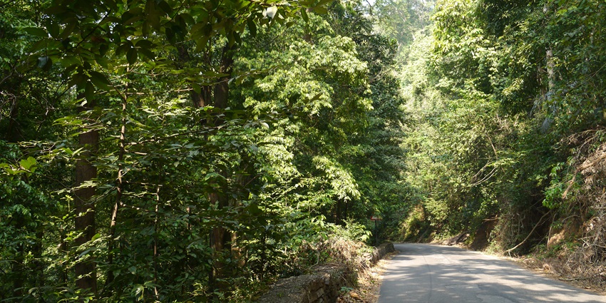 Agumbe Ghat Road is a must-see among places to visit near Manipal.