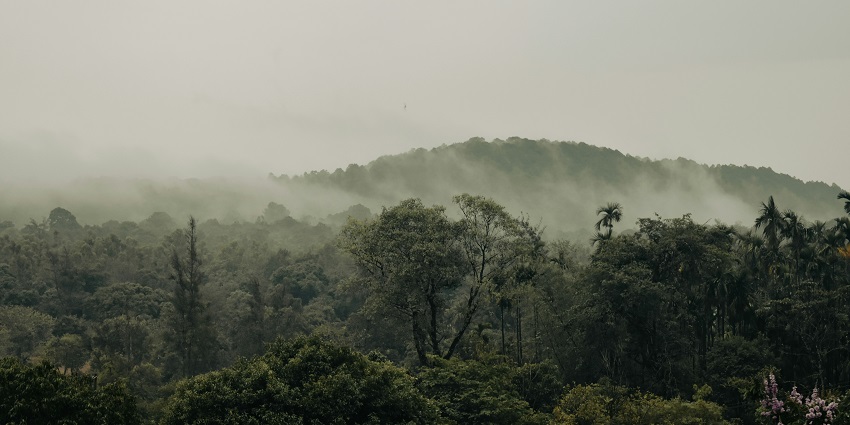 Explore the scenic views and mesmerising views at Agumbe Viewpoint in Karnataka.