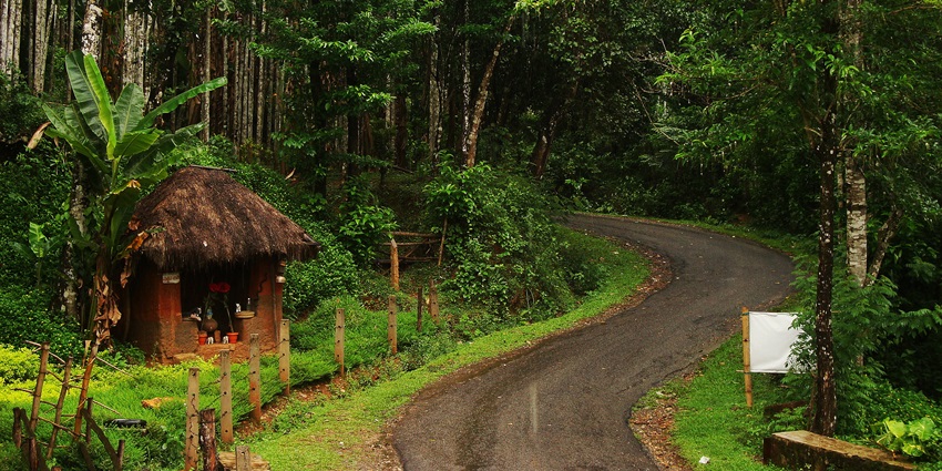 Agumbe, a lush village and place to visit in Karnataka in monsoon, is ideal for trekking.