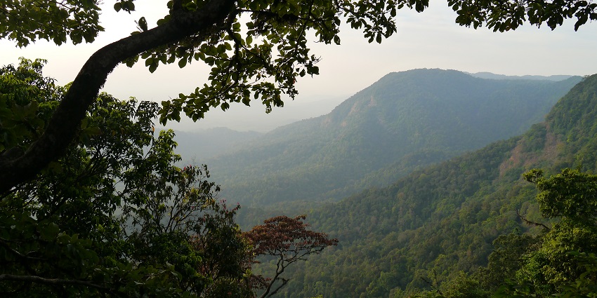Agumbe, a place to visit in August in Karnataka, boasts misty rainforests and vibrant sunsets.