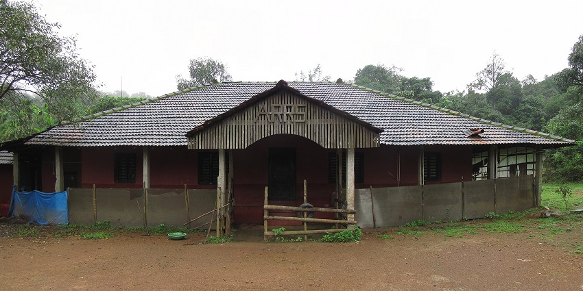 Agumbe Rainforest has rich biodiversity, trails, and unforgettable nature experiences