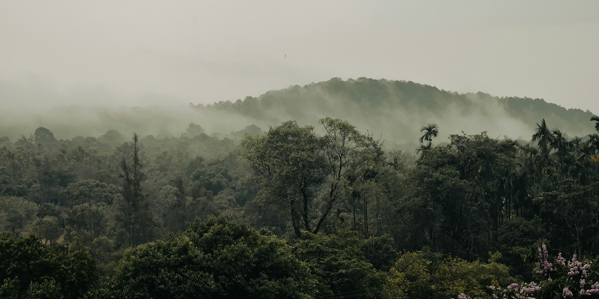 Scenic view of Agumbe with greenery, one of the best places to visit in may in Karnataka.