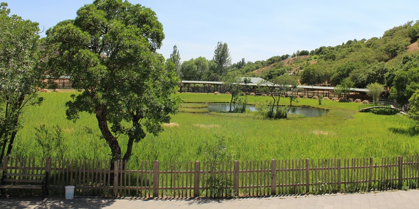 Image of a eco park with lush greenery surrounded beautiful and clean views under blue sky