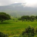 Scenic view of Anjaneri Fort, surrounded by greenery and mountains.