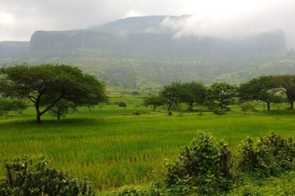 Scenic view of Anjaneri Fort, surrounded by greenery and mountains.