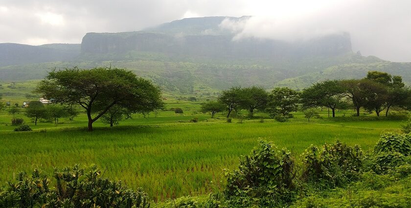 Scenic view of Anjaneri Fort, surrounded by greenery and mountains.