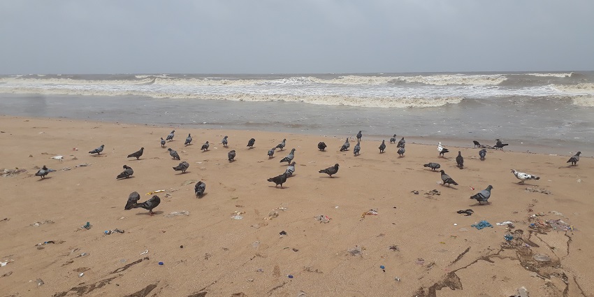 A picture of sunset captured on the Alibaug beach, a coastal destination in Maharashtra.