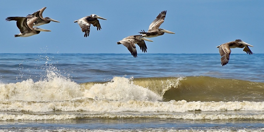 View of Alibaug Beach, a popular destination among tourists and locals for water sports.
