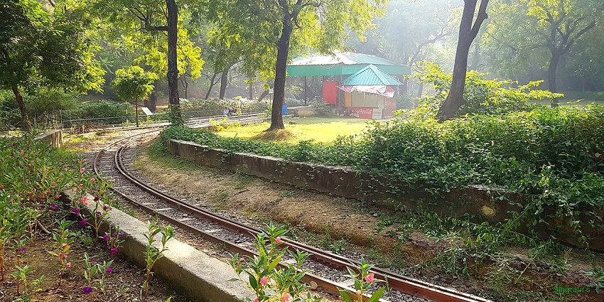 Discover wildlife at Allen Forest Zoo, located near Jungle Water Park, Kanpur Uttar Pradesh.