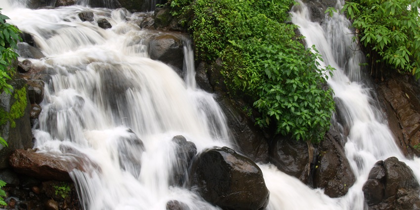 A glimpse of the cascading waters of the frothy white Amboli Waterfalls in Maharashtra.