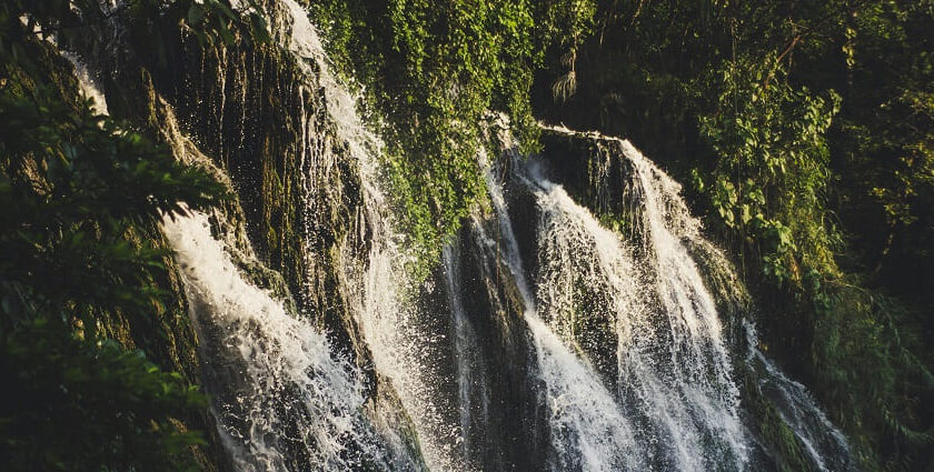 A view of shimmering waters cascading down from the rocky cliffs decked with greenery.