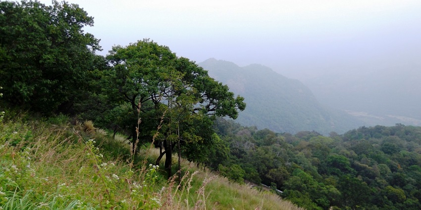An image showcasing the scenic views seen from the Anamalai Tiger Reserve in TamilNadu