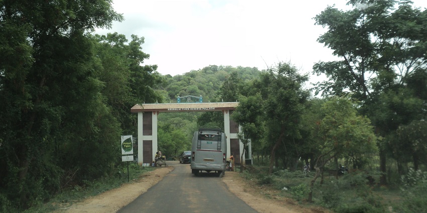 Anamalai Tiger Reserve is home to diverse wildlife and nature trails.