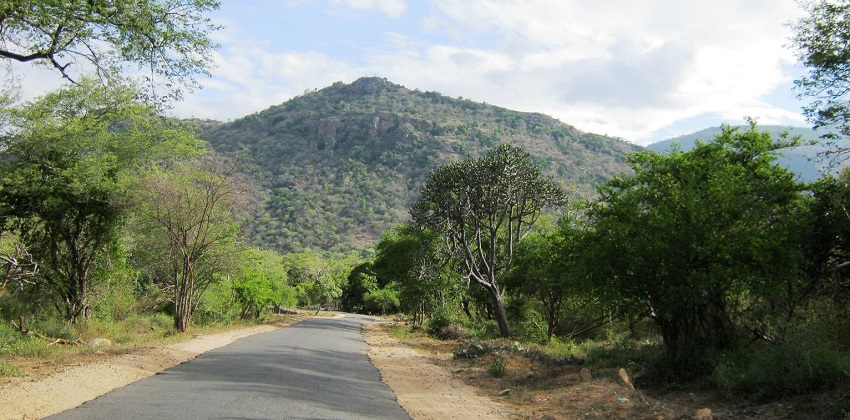 Wildlife sanctuary home to diverse species and lush forests