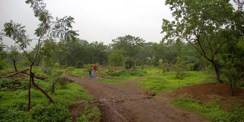 Anandvan, a tourist attraction near Chanda Fort with walkways and abundant greenery.