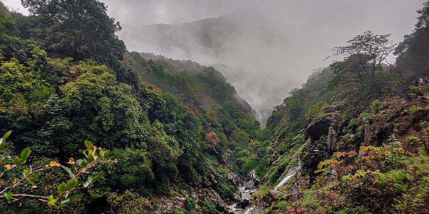 A serene view of Andharban Forest, one of the famous places for camping in Mulshi.