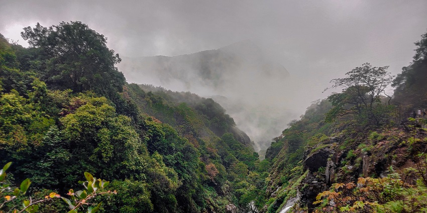 A serene view of Andharban Forest, one of the best places to visit in Mulshi, Maharashtra.
